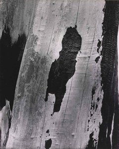 Black Floating Over White — Clarence John Laughlin