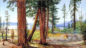 Lake Tahoe, California — Marianne North