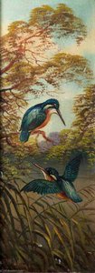 Kingfishers — Alfred Worthington