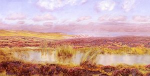 A view of whitby from the moors