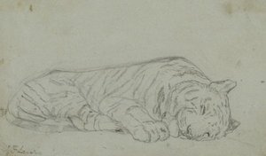 A Sleeping Tiger 2 — John Frederick Lewis, Contemporary Realism