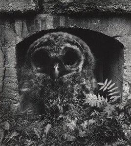 Dwelling Of The Wise — Jerry N. Uelsmann