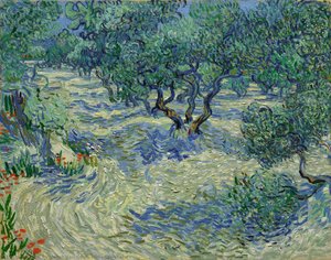 Olive Orchard — Vincent Willem Van Gogh, Post-impressionism