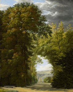 An Alley of Trees in a Park