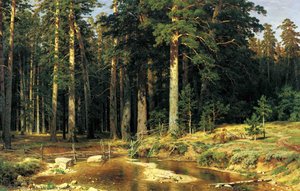 Mast Tree Grove — Ivan Ivanovich Shishkin, Contemporary Realism