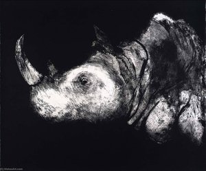 (a Bestiary, Portfolio) Rhinocerus — Aubrey Schwartz