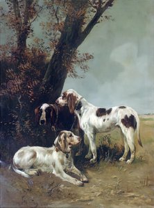Before The Hunt — Henry Schouten