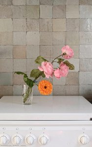 Flowers — Elina Brotherus