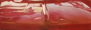 Reflections — Brendan Neiland