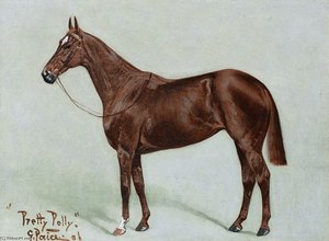 Pretty Polly — George Paice