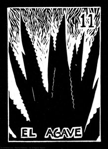 #11: El Agave (Agave)