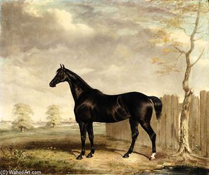 Gypsy, A Black Horse In A Landscape — Abraham Cooper