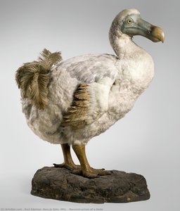 Reconstruction Of A Dodo — Karl Kästner, Hwa Ja Götz (mfn)