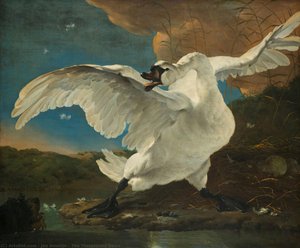The Threatened Swan — Jan Asselijn, Dutch Golden Age