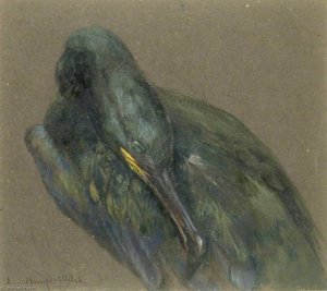 Cormorant Preening — Lucy Elizabeth Kemp Welch