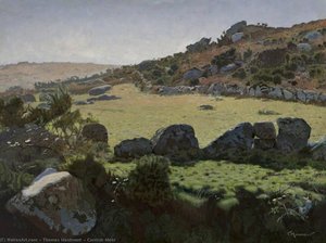 Cornish Moor — Thomas Maidment