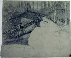 Rocks In Forest — Homer Dodge Martin