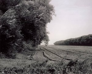 Portage County, Wisconsin Windbreaks, September 1989 — Gregory Conniff
