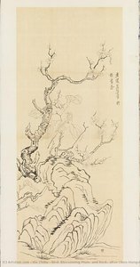 Bird, Blossoming Plum, And Rock, After Chen Hongshou — Xie Zhiliu