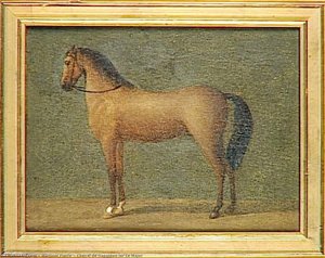 Cheval De Napoléon Ier Le Major — Martinet Pierre