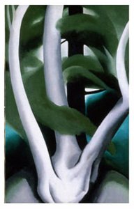 Birch And Pine Tree No. 1 — Georgia O'keeffe