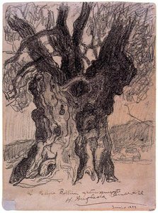 Olive-tree — Hermen Anglada Camarasa