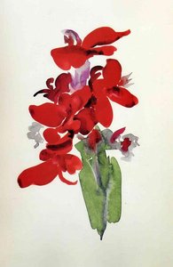 Red Canna — Georgia O'keeffe