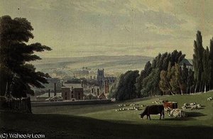 Bristol From Below The Royal Fort — Samuel Jackson