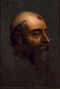 Portrait Of Pope Clement Vii — Sebastiano Del Piombo