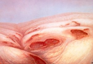 Hr Giger Landscape Vi — H.r. Giger