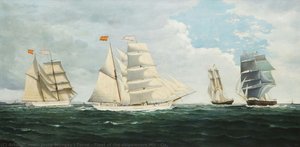 Fleet Of The Shipowners Mir & Co. — Josep Mongay I Torné