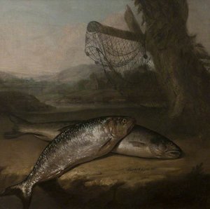 Atlantic Salmon and Allis Shad, by the River Wye ( )