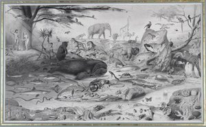 Adam And Eve And The Animals