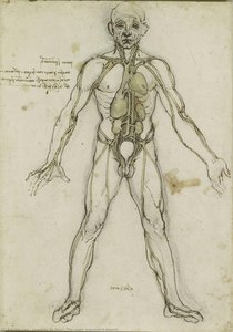 The Major Organs And Vessels — Leonardo Da Vinci