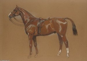 Liffey Bank - A Chestnut Hunter — Beatrice Parsons