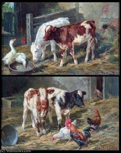 Farmyard Scenes With Calves, Chickens And Geese