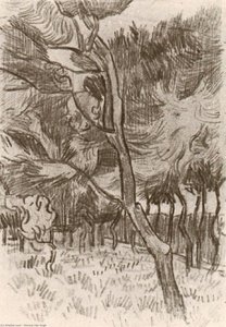 Pine Trees In The Garden Of The Asylum — Vincent Willem Van Gogh