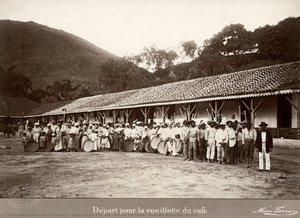 Departure For The Coffee Harvest, Vale Do Paraíba. Brazil — Marc Ferrez