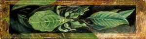 Leaf Insect — Marianne North