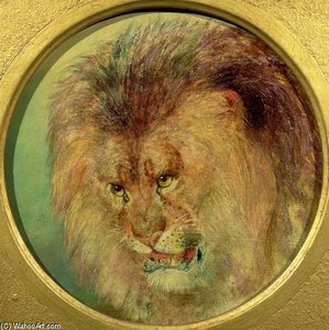 Study Of A Lion — William Huggins
