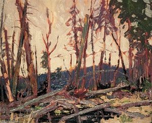 Burnt Country, Evening — Thomas Thompson