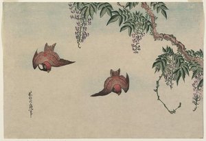 Sparrows And Wisteria — Katsushika Hokusai