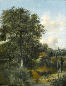Wooded Landscape With An Oak — John Crome