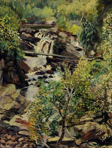 Falls Of Rogie Near Garve, Perthshire — Francis Ferdinand Maurice Cook