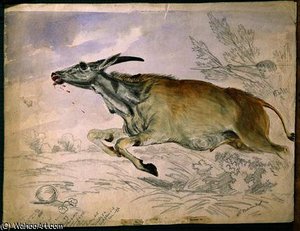 Eland Running From Damara With Spear — Thomas Baines