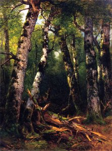 Group Of Trees — Asher Brown Durand, Hudson River School