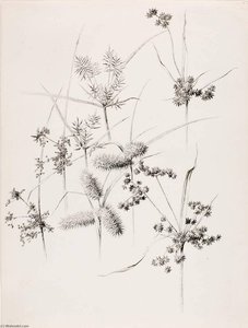 Untitled (sedge Grasses) — George Elbert Burr