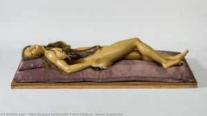 Venus Anatomica — Abbé Gasparo Ferdinando Felice Fontana