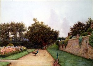 Below The Terrace