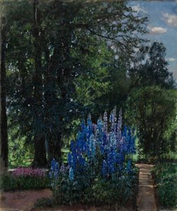 Foxgloves in a Summer Garden